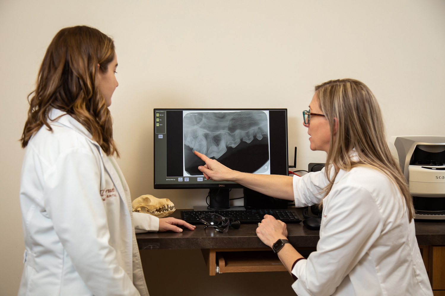 Full Service Veterinary Hospital | Compassionate and Professional Pet Care