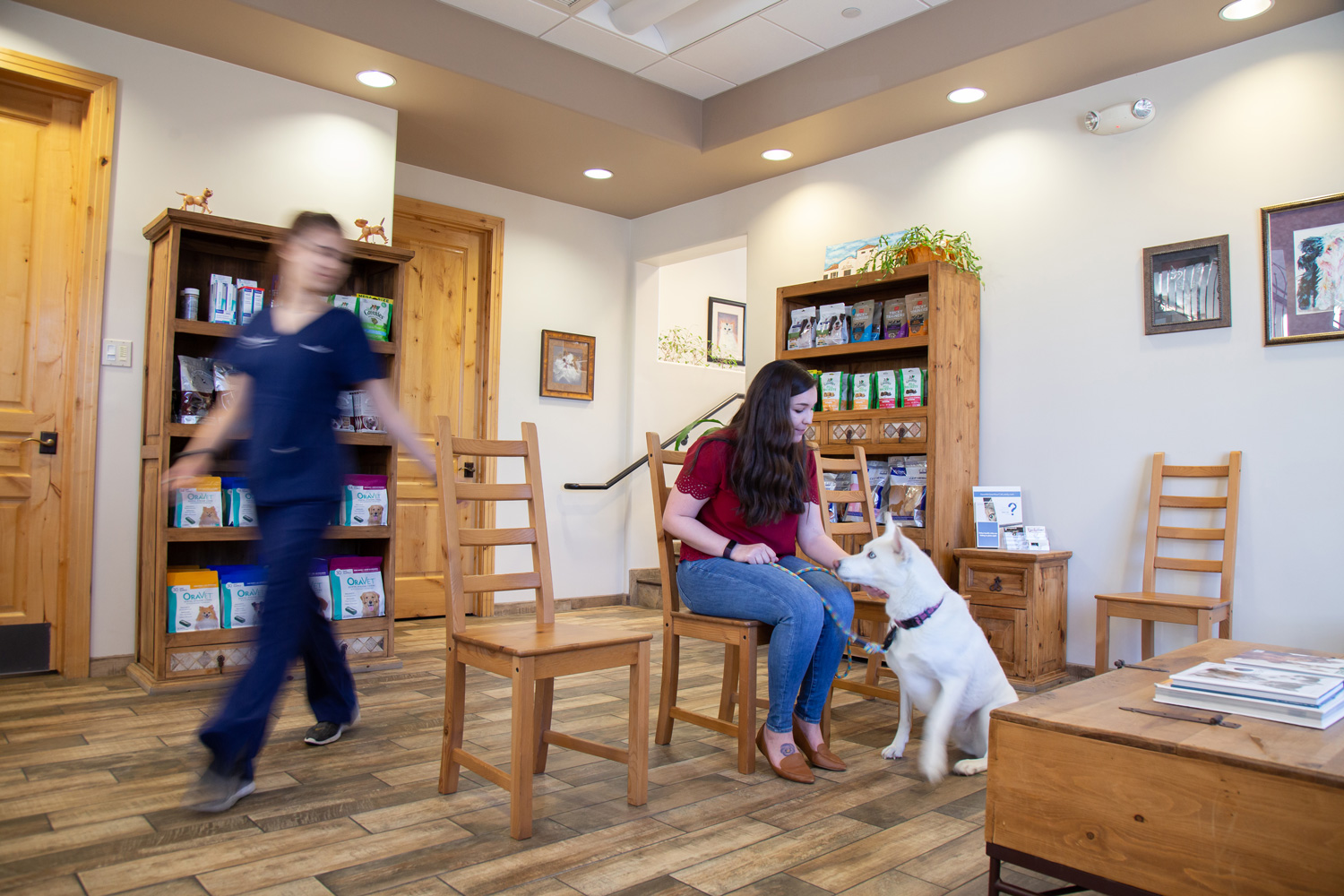 Wide range of veterinary services for pets of all shapes and sizes