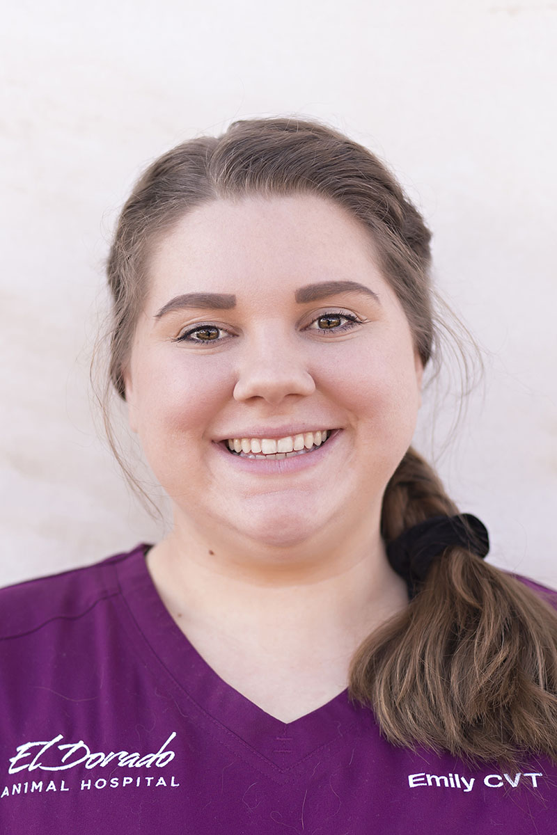Emily Choy | Certified Veterinary Technician