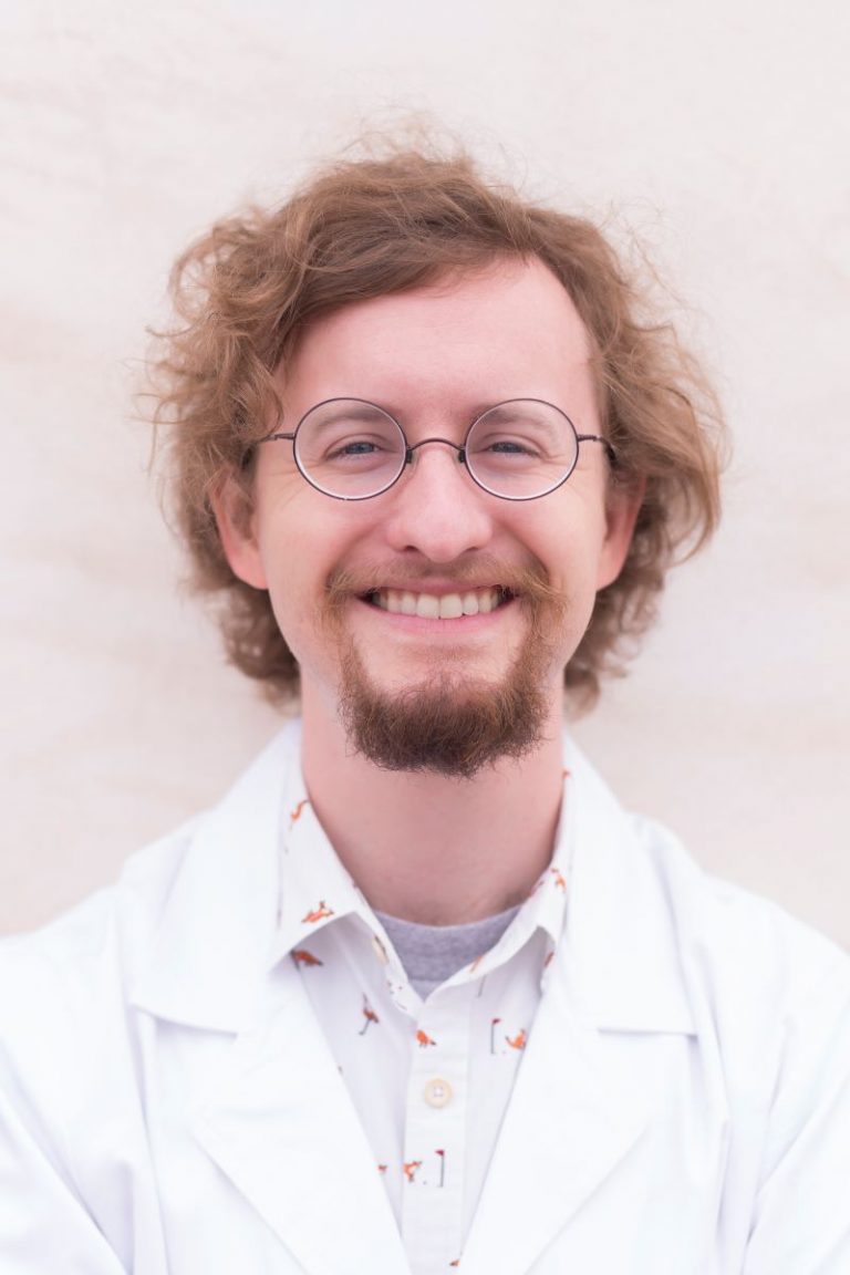 El Dorado Animal Hospital Veterinarian Fountain Hills AZ Affordable Vet Clinics Emergency